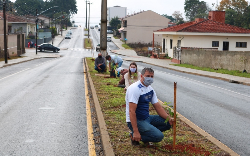 Dia Mundial do Meio Ambiente é comemorado com plantio de muda de árvores nativas 