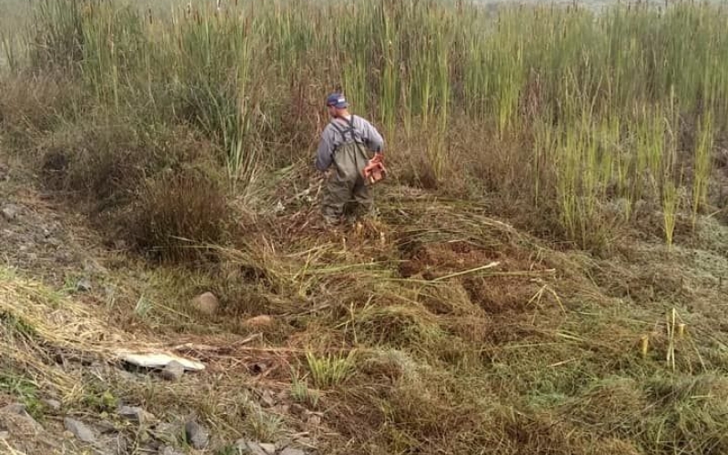 Secretaria de Transportes e Infraestrutura realiza limpeza no Lago Municipal