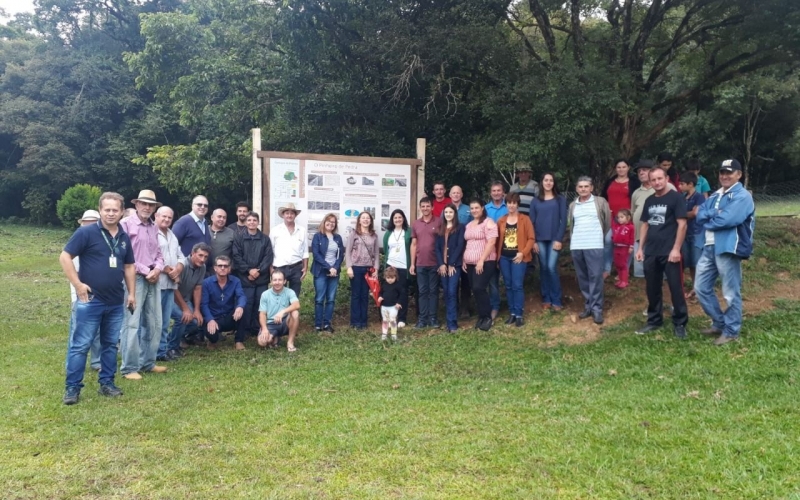 Atrativo turístico, Pinheiro de Pedra, ganha painel explicativo 