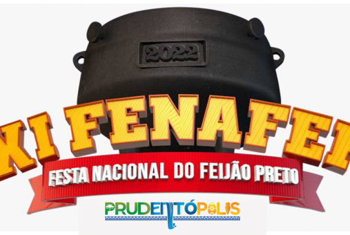 Foto de XI FENAFEP